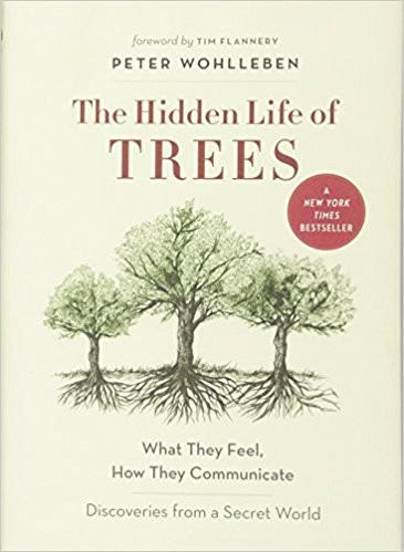 Cover of The Hidden Life of Trees - Peter Wohlleben