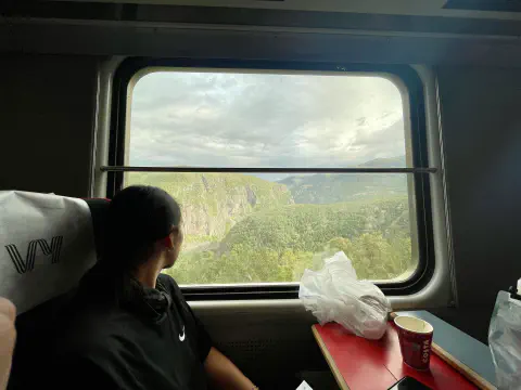 Zug nach Abisko