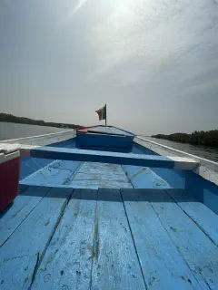 Saloum delta