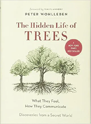 Cover of The Hidden Life of Trees